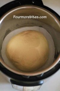 Dough in the instant pot ready to proof